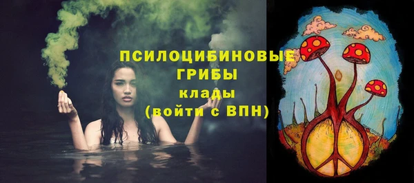 соль ск Алексеевка