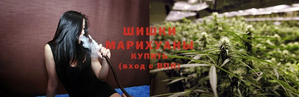 шишки Алзамай
