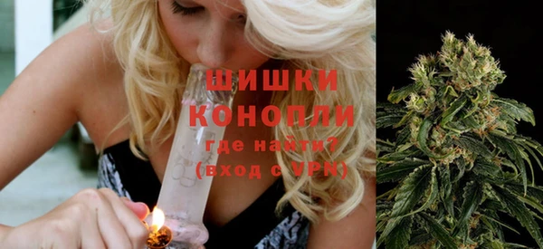 шишки Алзамай