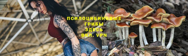 соль ск Алексеевка
